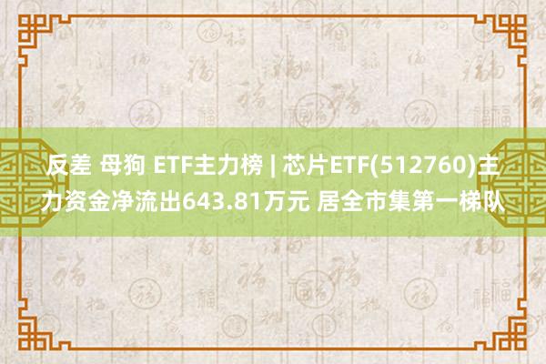 反差 母狗 ETF主力榜 | 芯片ETF(512760)主力资金净流出643.81万元 居全市集第一梯队