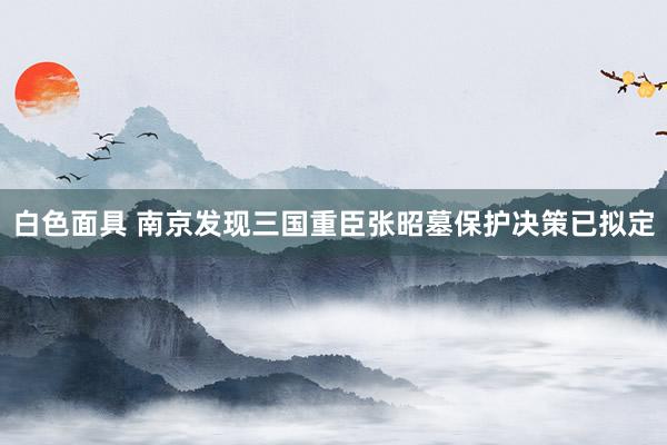 白色面具 南京发现三国重臣张昭墓保护决策已拟定