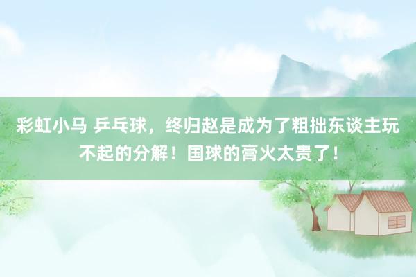 彩虹小马 乒乓球，终归赵是成为了粗拙东谈主玩不起的分解！国球的膏火太贵了！