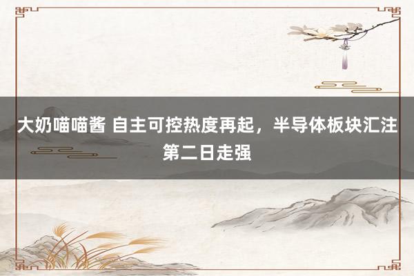 大奶喵喵酱 自主可控热度再起，半导体板块汇注第二日走强