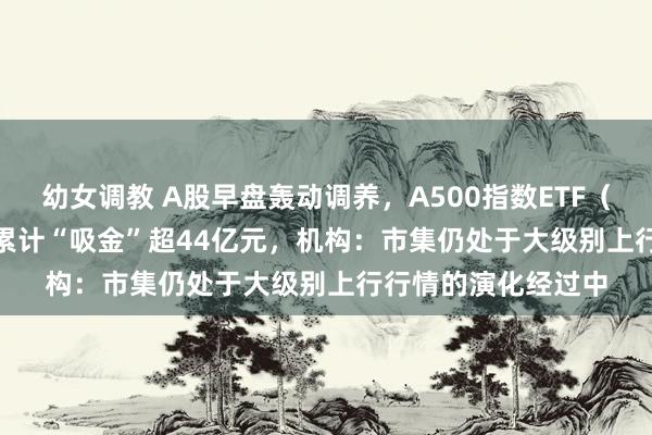 幼女调教 A股早盘轰动调养，A500指数ETF（159351）近10日累计“吸金”超44亿元，机构：市集仍处于大级别上行行情的演化经过中