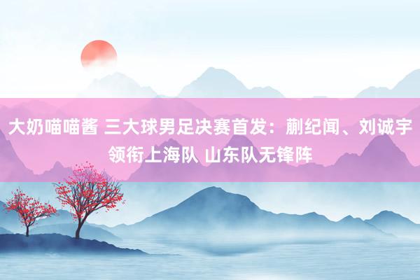 大奶喵喵酱 三大球男足决赛首发：蒯纪闻、刘诚宇领衔上海队 山东队无锋阵