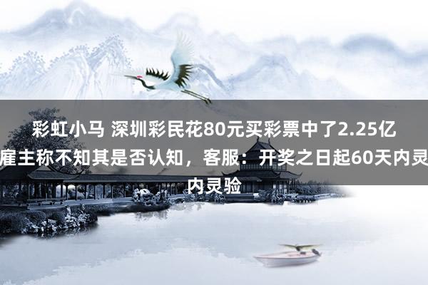 彩虹小马 深圳彩民花80元买彩票中了2.25亿，雇主称不知其是否认知，客服：开奖之日起60天内灵验
