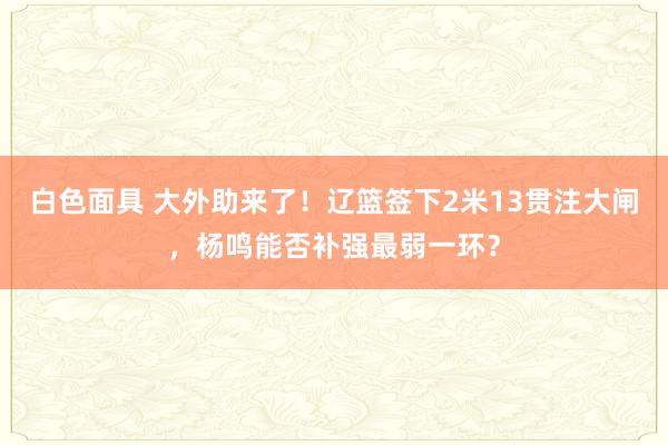 白色面具 大外助来了！辽篮签下2米13贯注大闸，杨鸣能否补强最弱一环？
