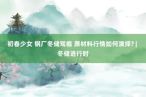 初春少女 钢厂冬储驾临 原材料行情如何演绎? | 冬储进行时