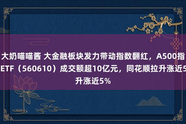 大奶喵喵酱 大金融板块发力带动指数翻红，A500指数ETF（560610）成交额超10亿元，同花顺拉升涨近5%