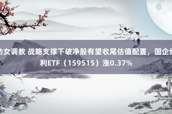 幼女调教 战略支撑下破净股有望收尾估值配置，国企红利ETF（159515）涨0.37%