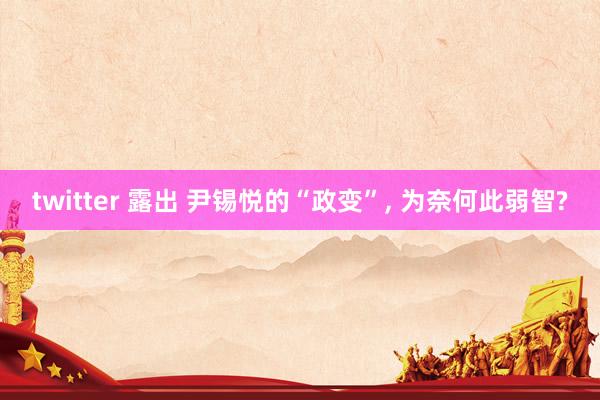 twitter 露出 尹锡悦的“政变”， 为奈何此弱智?