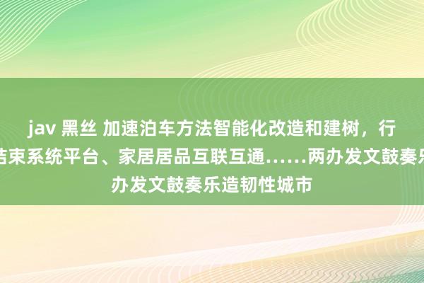 jav 黑丝 加速泊车方法智能化改造和建树，行使物联网等结束系统平台、家居居品互联互通……两办发文鼓奏乐造韧性城市