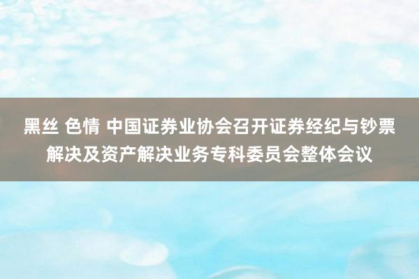 黑丝 色情 中国证券业协会召开证券经纪与钞票解决及资产解决业务专科委员会整体会议