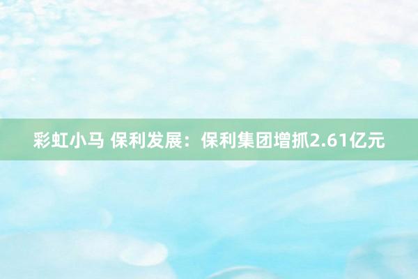 彩虹小马 保利发展：保利集团增抓2.61亿元
