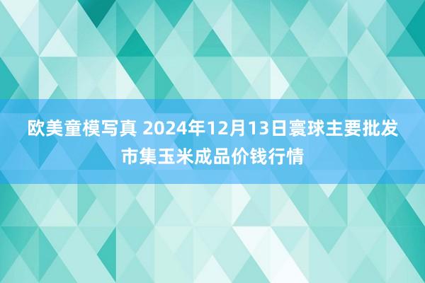 欧美童模写真 2024年12月13日寰球主要批发市集玉米成品价钱行情