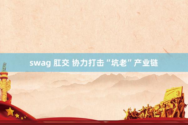 swag 肛交 协力打击“坑老”产业链