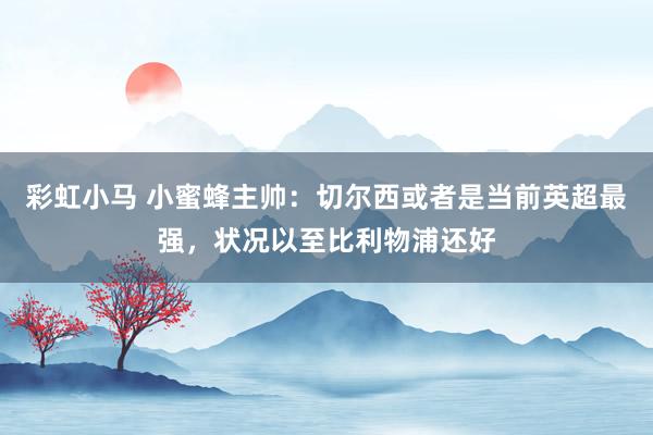 彩虹小马 小蜜蜂主帅：切尔西或者是当前英超最强，状况以至比利物浦还好