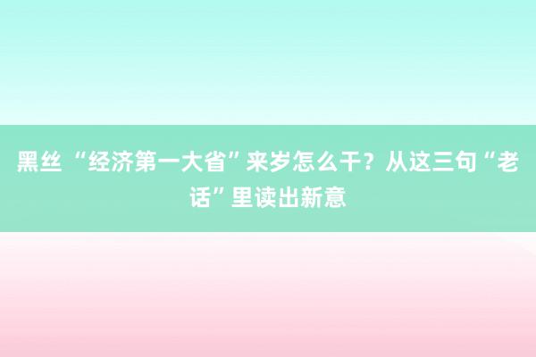 黑丝 “经济第一大省”来岁怎么干？从这三句“老话”里读出新意