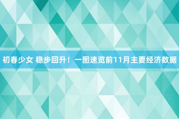 初春少女 稳步回升！一图速览前11月主要经济数据
