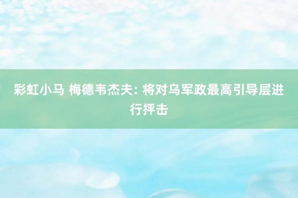 彩虹小马 梅德韦杰夫: 将对乌军政最高引导层进行抨击