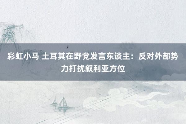 彩虹小马 土耳其在野党发言东谈主：反对外部势力打扰叙利亚方位