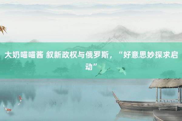 大奶喵喵酱 叙新政权与俄罗斯，“好意思妙探求启动”