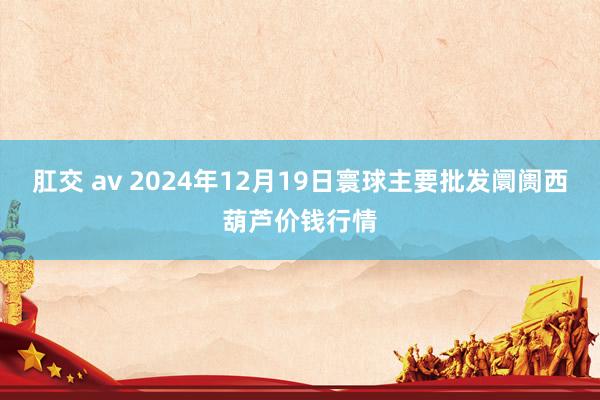 肛交 av 2024年12月19日寰球主要批发阛阓西葫芦价钱行情