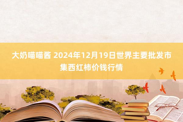 大奶喵喵酱 2024年12月19日世界主要批发市集西红柿价钱行情