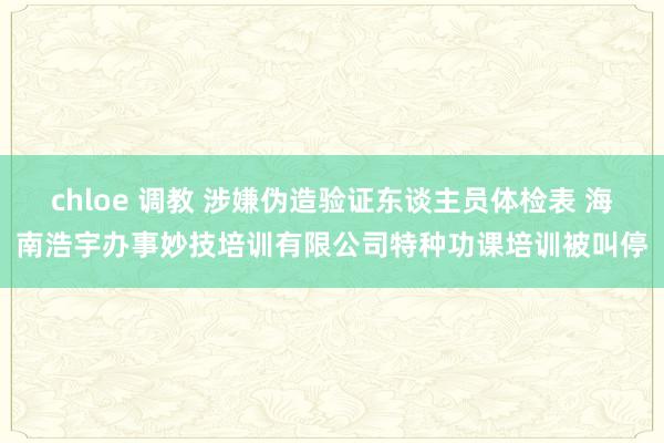chloe 调教 涉嫌伪造验证东谈主员体检表 海南浩宇办事妙技培训有限公司特种功课培训被叫停