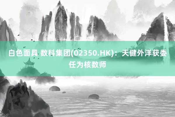白色面具 数科集团(02350.HK)：天健外洋获委任为核数师