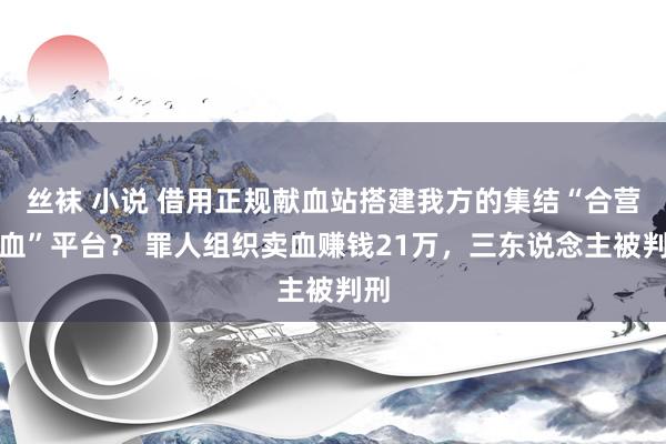 丝袜 小说 借用正规献血站搭建我方的集结“合营献血”平台？ 罪人组织卖血赚钱21万，三东说念主被判刑