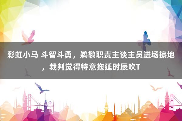 彩虹小马 斗智斗勇，鹈鹕职责主谈主员进场擦地，裁判觉得特意拖延时辰吹T