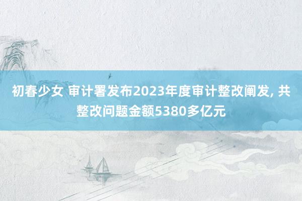 初春少女 审计署发布2023年度审计整改阐发， 共整改问题金额5380多亿元