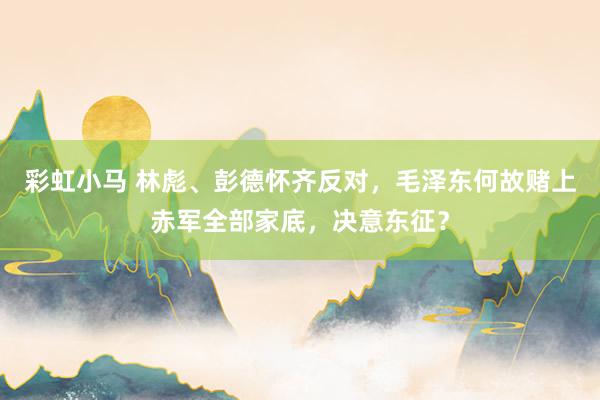 彩虹小马 林彪、彭德怀齐反对，毛泽东何故赌上赤军全部家底，决意东征？