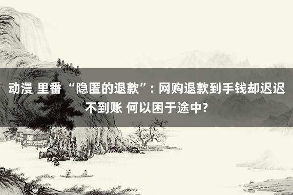 动漫 里番 “隐匿的退款”: 网购退款到手钱却迟迟不到账 何以困于途中?