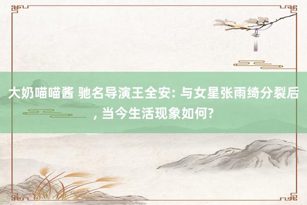 大奶喵喵酱 驰名导演王全安: 与女星张雨绮分裂后， 当今生活现象如何?
