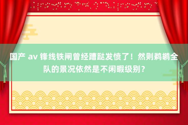 国产 av 锋线铁闸曾经蹧跶发愤了！然则鹈鹕全队的景况依然是不闲暇级别？