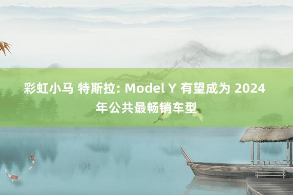彩虹小马 特斯拉: Model Y 有望成为 2024 年公共最畅销车型