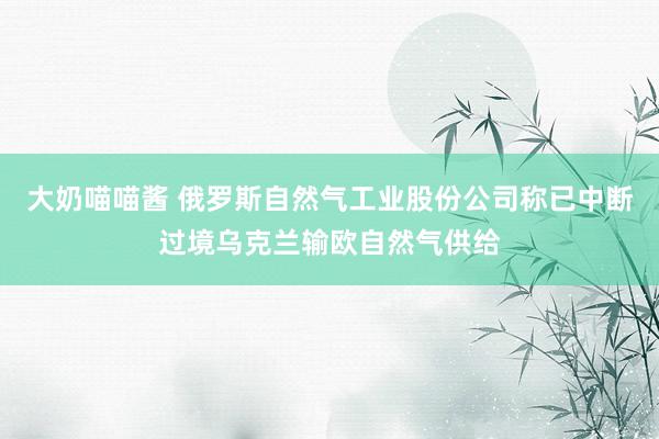 大奶喵喵酱 俄罗斯自然气工业股份公司称已中断过境乌克兰输欧自然气供给