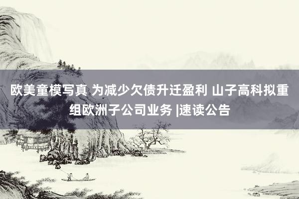 欧美童模写真 为减少欠债升迁盈利 山子高科拟重组欧洲子公司业务 |速读公告