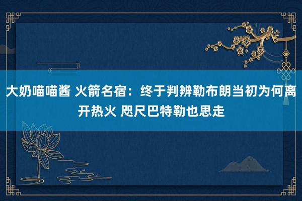 大奶喵喵酱 火箭名宿：终于判辨勒布朗当初为何离开热火 咫尺巴特勒也思走