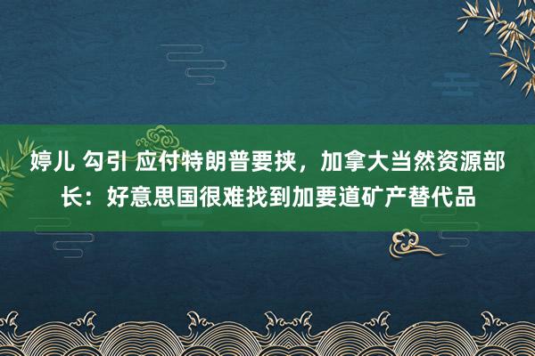 婷儿 勾引 应付特朗普要挟，加拿大当然资源部长：好意思国很难找到加要道矿产替代品