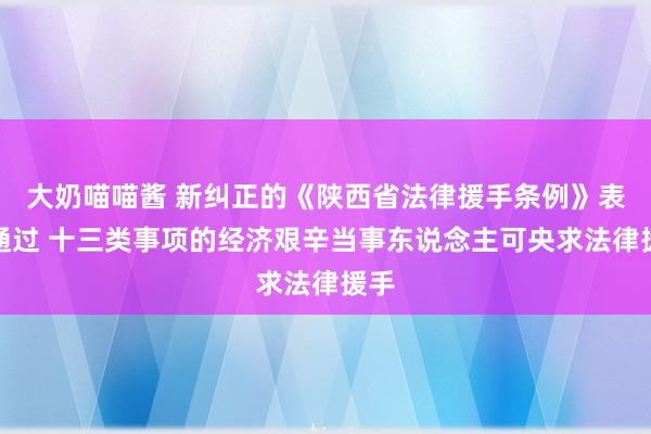 大奶喵喵酱 新纠正的《陕西省法律援手条例》表决通过 十三类事项的经济艰辛当事东说念主可央求法律援手