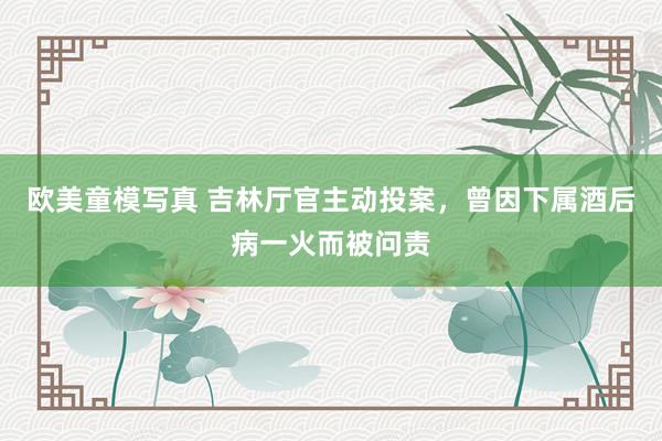 欧美童模写真 吉林厅官主动投案，曾因下属酒后病一火而被问责
