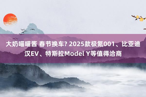 大奶喵喵酱 春节换车? 2025款极氪001、比亚迪汉EV、特斯拉Model Y等值得洽商