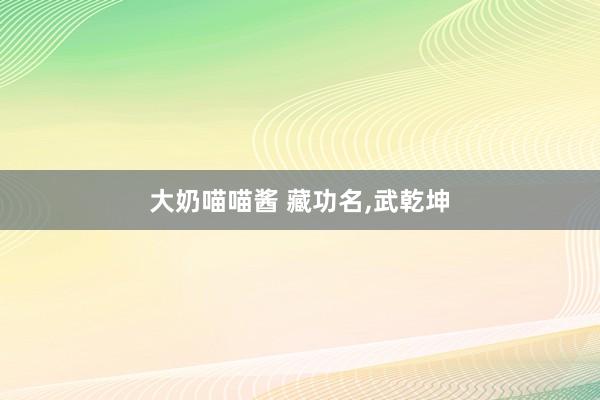 大奶喵喵酱 藏功名，武乾坤