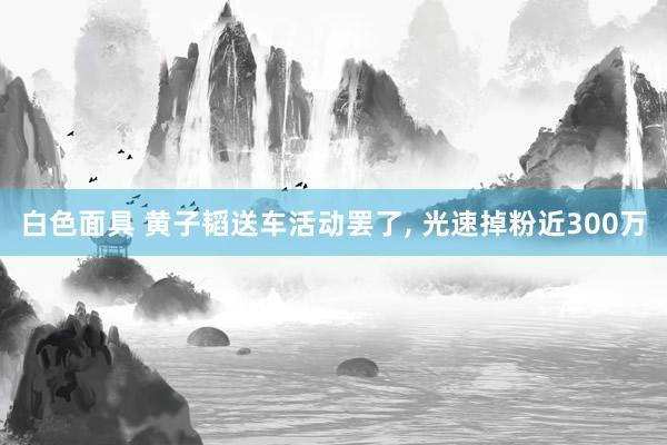 白色面具 黄子韬送车活动罢了， 光速掉粉近300万