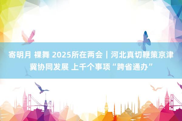 寄明月 裸舞 2025所在两会｜河北真切鞭策京津冀协同发展 上千个事项“跨省通办”