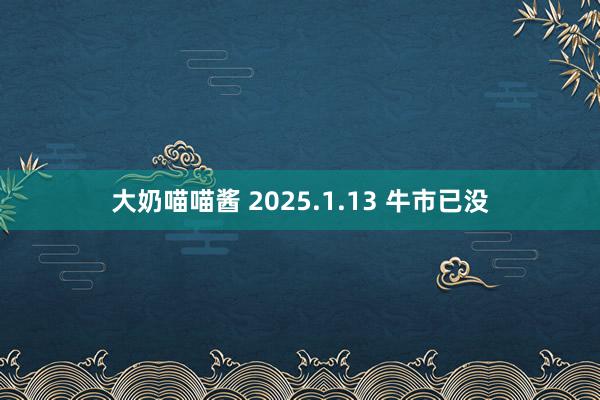 大奶喵喵酱 2025.1.13 牛市已没