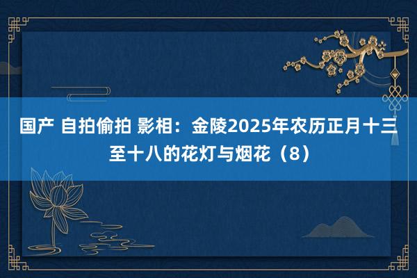 国产 自拍偷拍 影相：金陵2025年农历正月十三至十八的花灯与烟花（8）