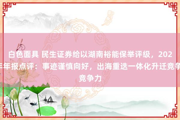 白色面具 民生证券给以湖南裕能保举评级，2024年年报点评：事迹谨慎向好，出海重迭一体化升迁竞争力