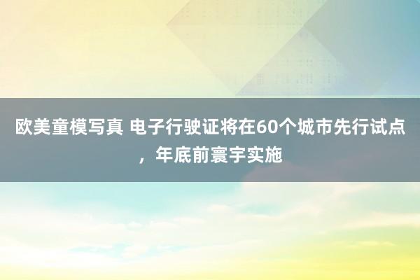 欧美童模写真 电子行驶证将在60个城市先行试点，年底前寰宇实施