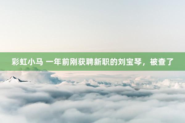 彩虹小马 一年前刚获聘新职的刘宝琴，被查了